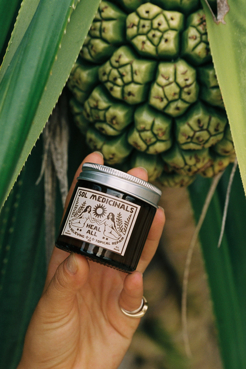 'Heal All' Salve - Sol Medicinals