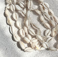 Siren Cowrie Choker