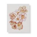 Little Bunch (Rolled) Paint by Numbers Kit