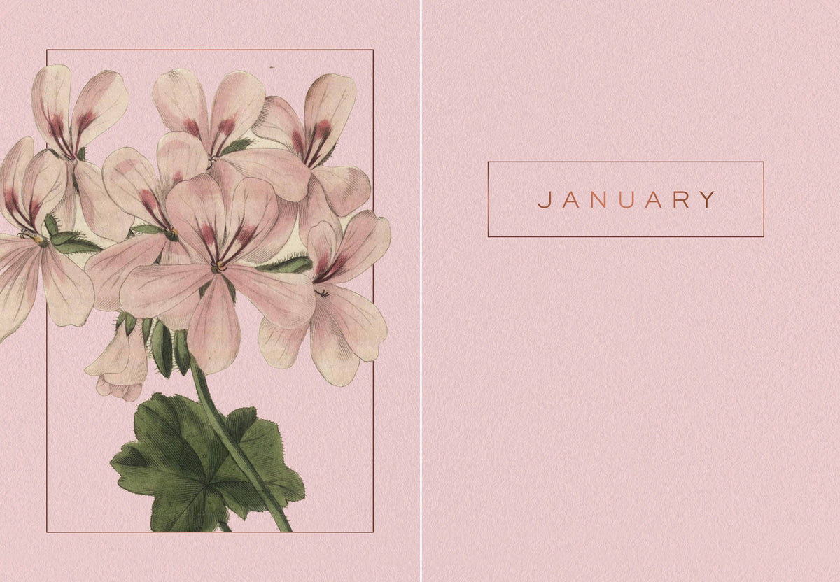 A Year of Flowers