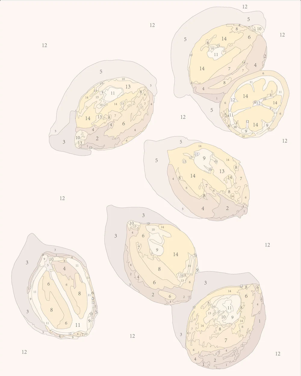 Pastel Lemons (Mini) Paint by Numbers Kit