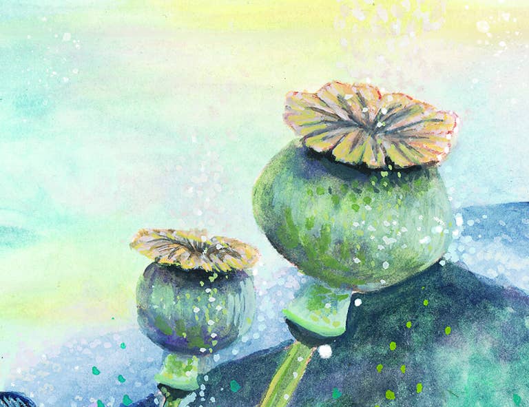 Indigo Sage (40 Full-Color Affirmation Cards)